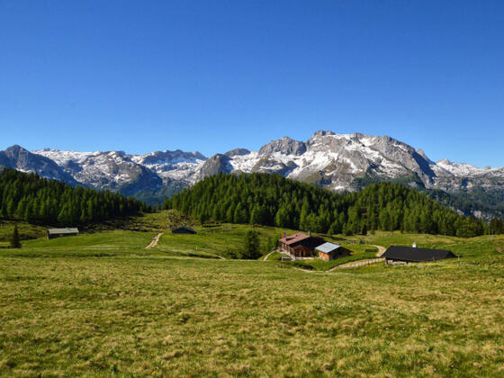 Blick über die Gotzenalm zum Funtenseetauern