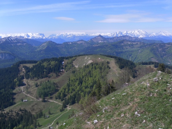 Loibersbacher Höhe vom Faistenauer Schafberg