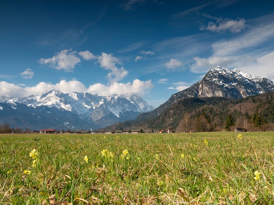 Pamorama Frühling.jpg