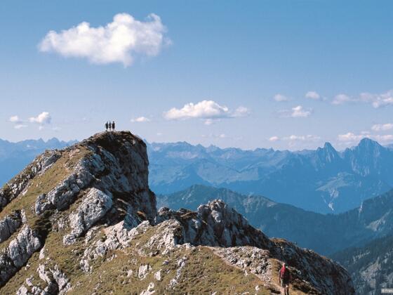 Hochplatte Hauptgipfel