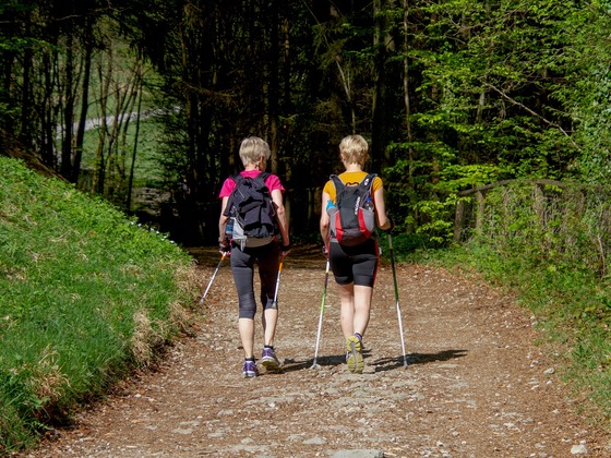 nordic walking