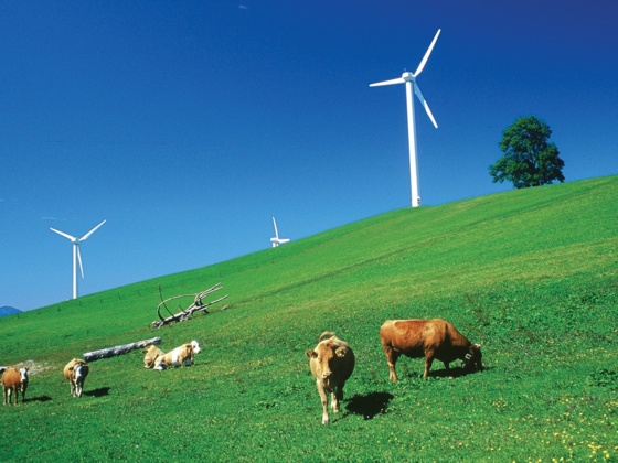 Windpark Laussa