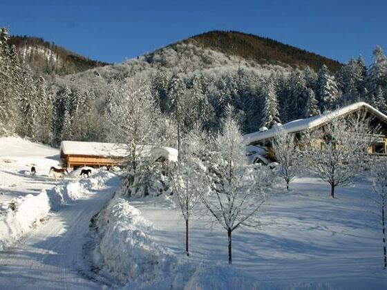 Landgasthof zur Kreh
