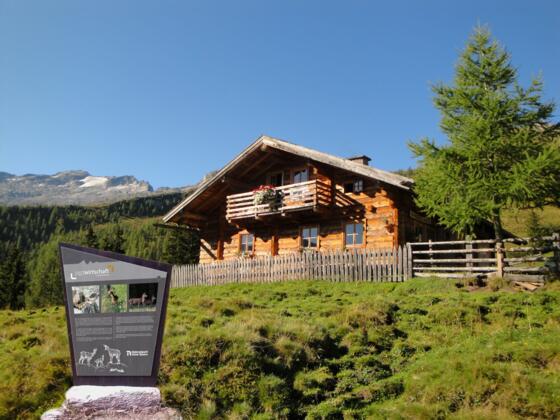 Themenweg "Auf der Alm"