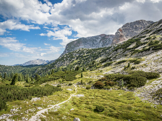 Einsame Pfade im Steinernen Meer