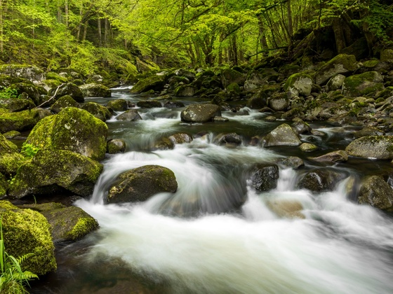 wandern geimderunde