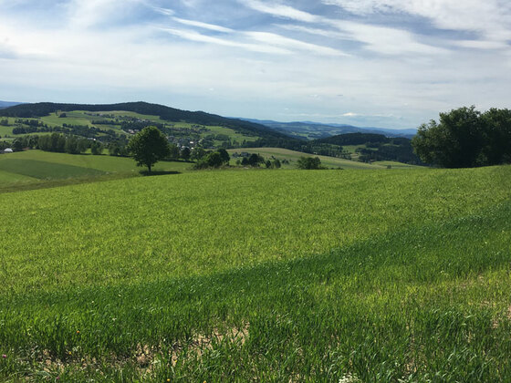 Landschaft-bei-Windhaag---Ober%c3%b6sterreich-Tourismus-GmbH---Ulrike-Preinfalk_NEU
