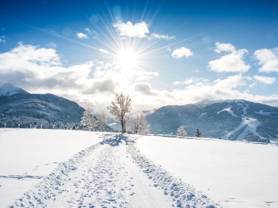 Blick auf den Lackenkogel und das Skigebiet
