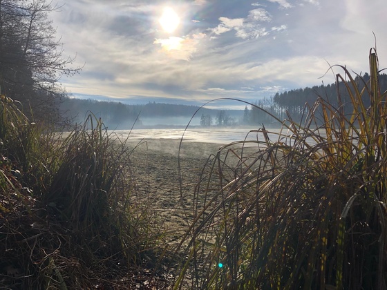 Einer der Anhauser Weiher im Winter