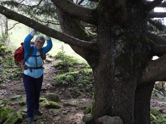 Meine Frau, meist mit auf Tour