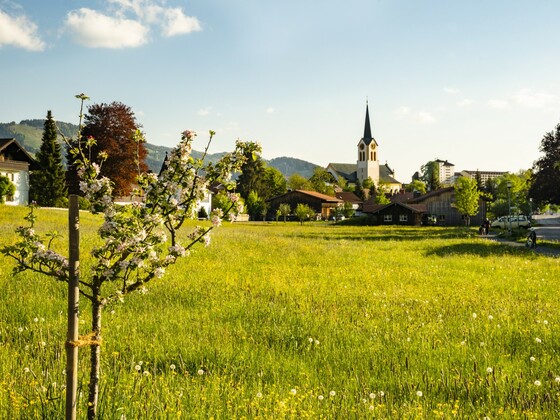 Blick auf die Kirche St. Peter und Paul