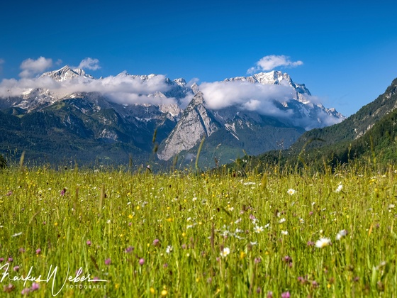 DSC_4996-Edit.jpg