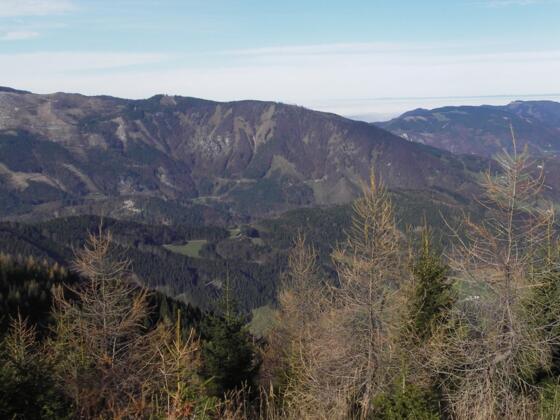 Der Ennsberg - vom Kühberg aus gesehen