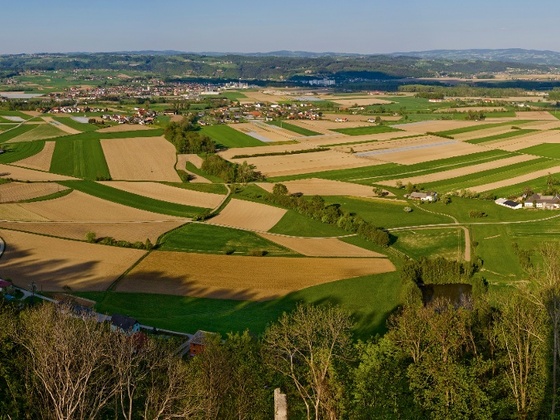 Schaunburgpanorama