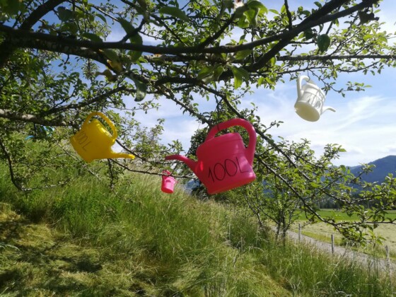 Themenweg Wiesen Klimarunde Altenau