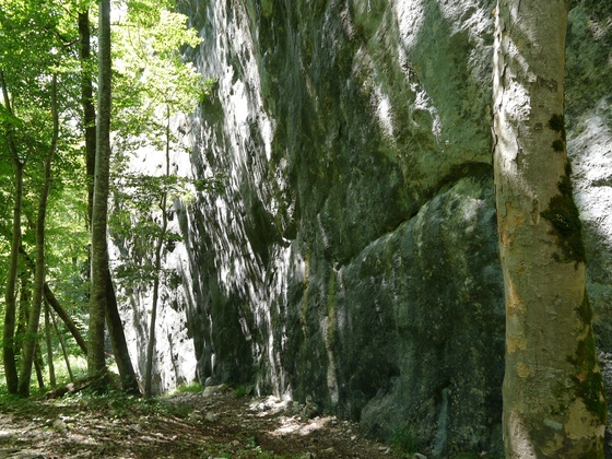 Der Kletterfels &quot;Neues Tiefenbach&quot;