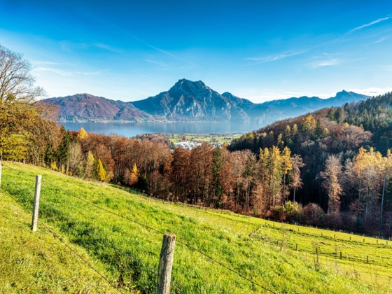 Ausblick