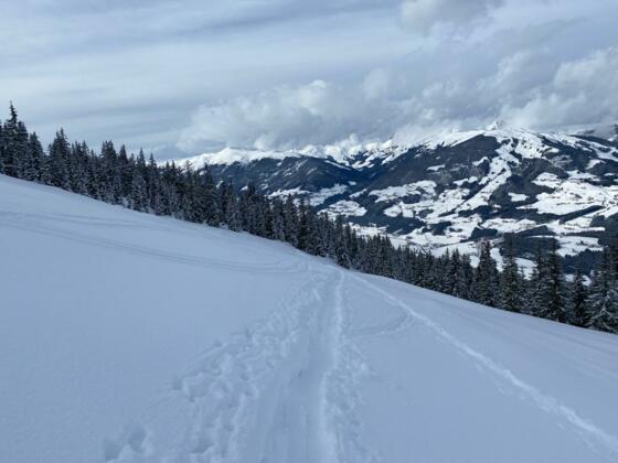 nahe Pölsenalm