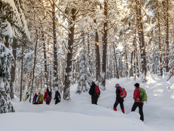 Winterwandern bei Seefeld