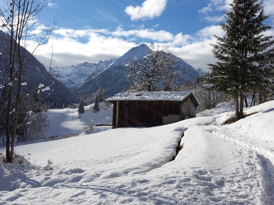 Winteridyll im Lechtal