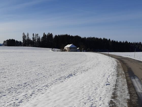 Straße von Apfoltern nach Labach