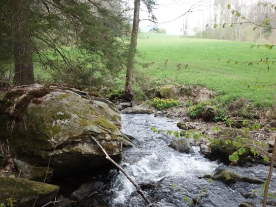 Kollbachtal