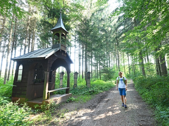 Wandern rund um die Furthmühle