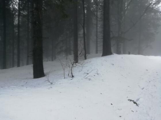 Gr. Schwedenschanze am Hauptmannsberg