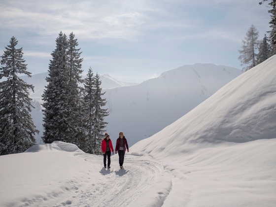 Winterwanderer auf präpariertem Winterwanderweg