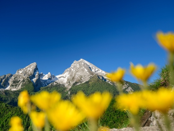 Erste Reihe: Der Grünstein-Gipfel bietet eine unschlagbare Aussicht auf das Wahrzeichen des Berchtesgadener Landes, den Watzmann.