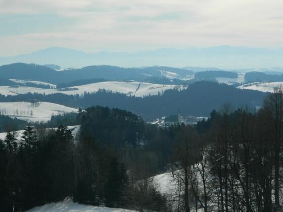 Blick vom Hochbuchberg zur Kirche von Pabneukirchen