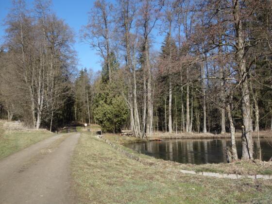 Der Weiher beim Wanderparkplatz