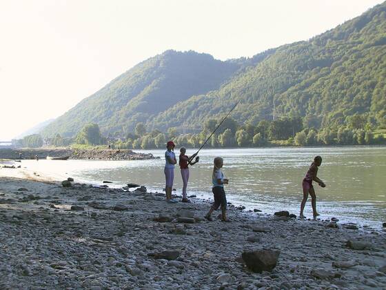 Fischen an der Donau