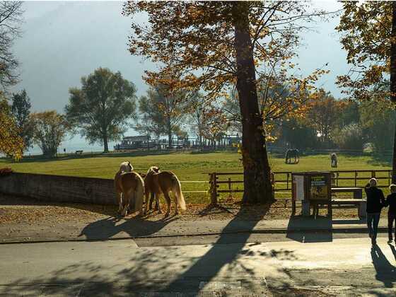 Ausblick Wohnraum auf den Schliersee