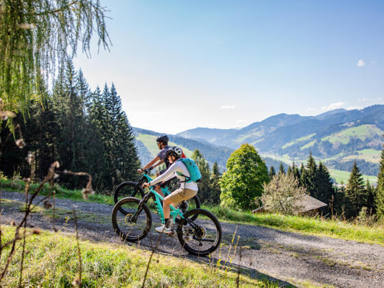 Einsame Wald- & Forststraßen, coole Trail-Passagen und ein atemberaubender Ausblick aufs Dachstein Massiv warten bei dieser Tour auf euch