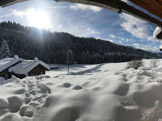 https://d1pgrp37iul3tg.cloudfront.net/objekt2_pics/obj_full_107832_002.jpg