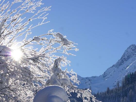 Sonnenloipe St. Jakob
