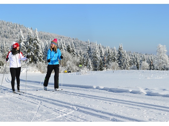 Langlaufen in Oberoesterreich