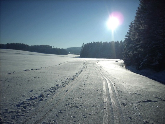 Sauwaldloipe.at Foto1.jpg