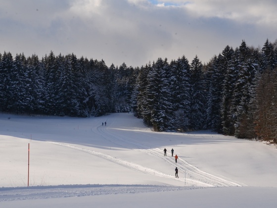 Langlaufzentrum Tal
