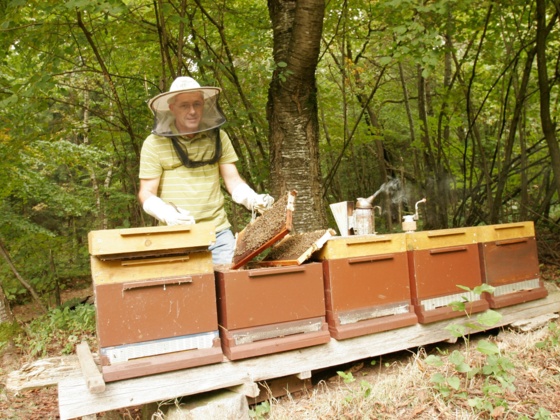 Bio-Imkerei Dietrich