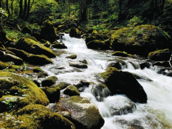 10-Oktober-Wandern im Kößlbachtal.jpg