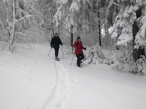 Schneeschuhwandern in Pfarrkirchen