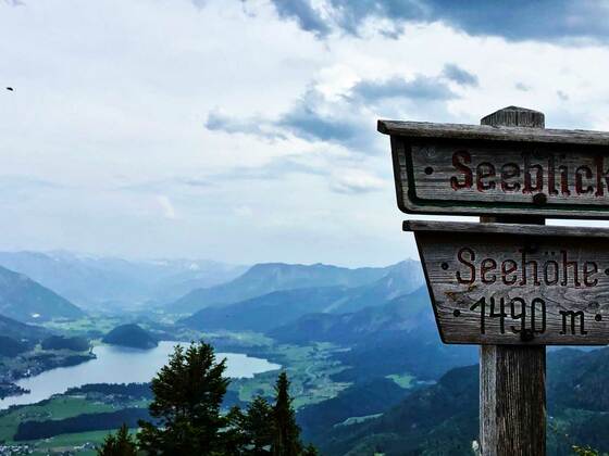 Blick in Richtung Strobl am Wolfgangsee