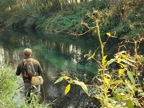 Fliegenfischerrunde Pesenbach