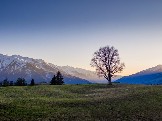 Panoramarunde
