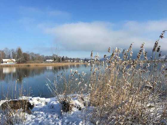 Tegernsee im Winter