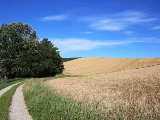 Ausschnitt der Tour