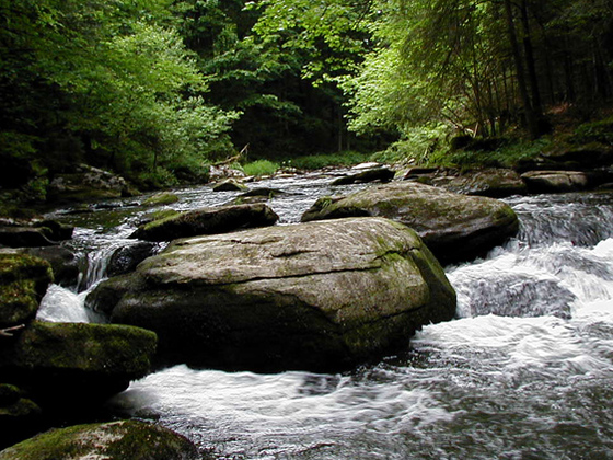 Landschaftsschutzgebiet Bärnloch Oberkappel