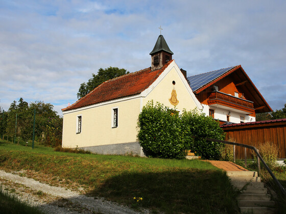 IMG_1655 - Kopie